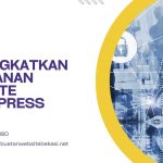 Cara Meningkatkan Keamanan Website WordPress